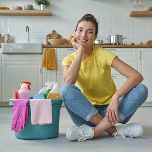maid-services-12 maid-services-12