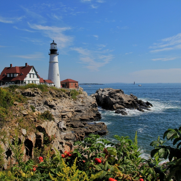 Professional house cleaning services in Portland to keep your home spotless.