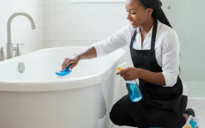 A Comprehensive List of Services Provided by Professional Cleaners